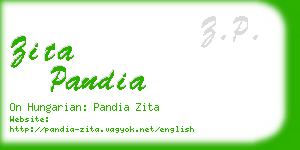 zita pandia business card